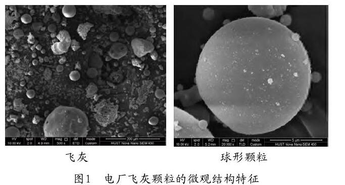 圖1 電廠飛灰顆粒的微觀結構特征